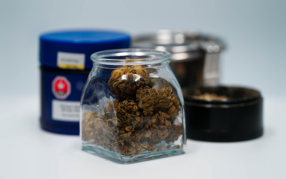 Greenline_budtender