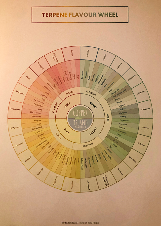 Copper Island terpene wheel