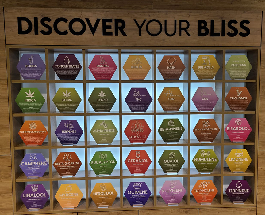 Discover your bliss
