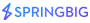 Springbig logo