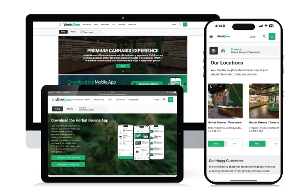 Build a Cannabis Website In-House