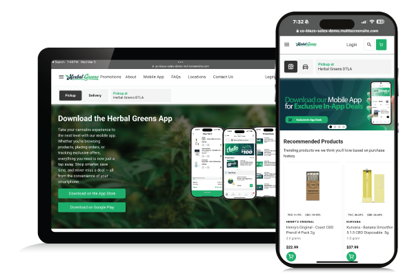 Fast, Mobile-Optimized, and Ready to Launch